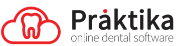 Praktika